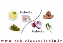 غذای پروبیوتیک چیست؟