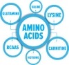 آمینو اسیدها